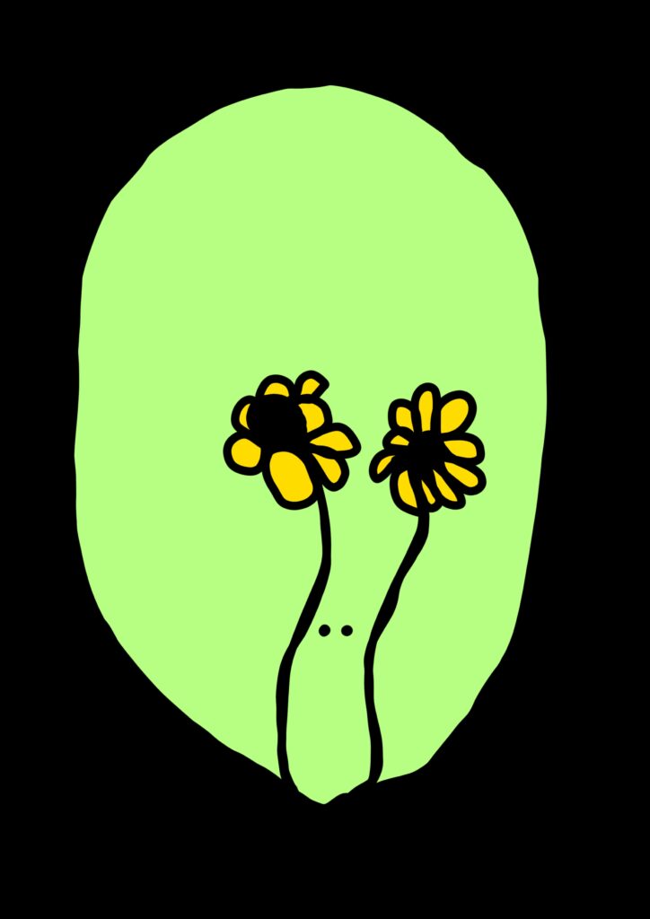 Cara margarita